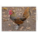 Rooster Note Card