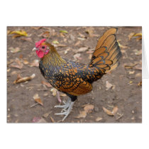 Rooster Note Card by cherylasmith Rooster Note Card