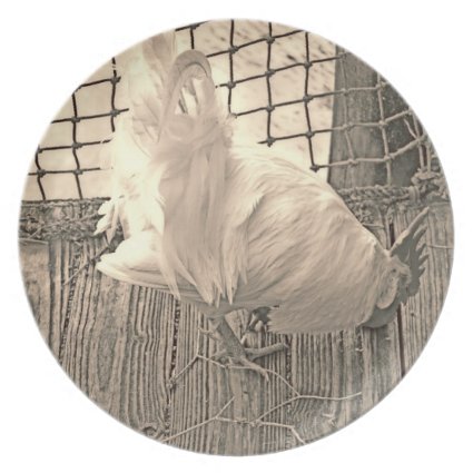 rooster on dock sepia bird image dinner plates