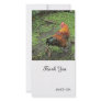 Rooster Custom Photo Card