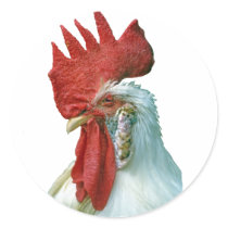 Rooster Picture stickers by kphotos Rooster Picture stickers