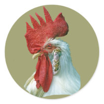 Rooster Picture stickers by kphotos Rooster Picture stickers