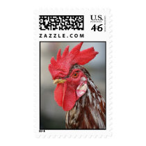 Rooster Postage
