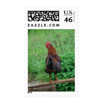 ROOSTER postage by FotoShop ROOSTER postage