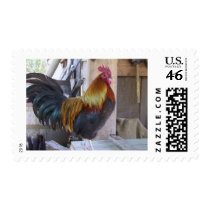 rooster postage by kathiscc rooster postage