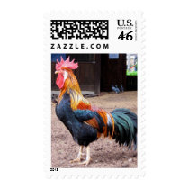 ROOSTER postage by FotoShop ROOSTER postage