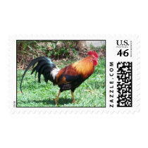 Rooster Postage postage