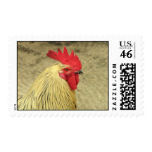 Rooster Postage