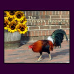 Rooster