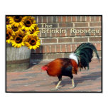 Rooster