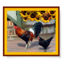 Rooster posters