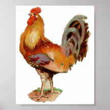Rooster Print