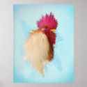 Rooster Print