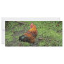 Rooster Rack Card