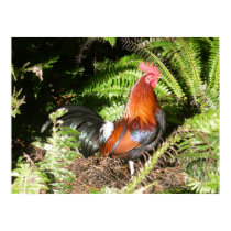 Rooster - Red Jungle Fowl posters by LisasLair Rooster - Red Jungle Fowl posters