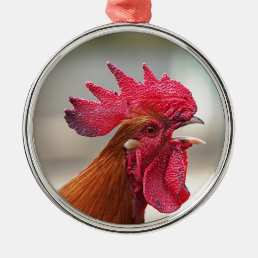 rooster round metal christmas ornament zazzle rooster round metal christmas ornament zazzle