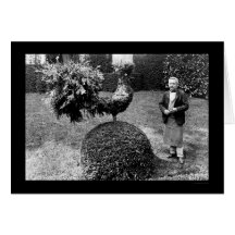 Rooster Shrub at the Villa Trianon 1925 Card