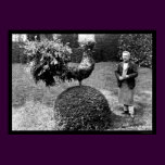 Rooster Shrub at the Villa Trianon 1925