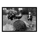 Rooster Shrub at the Villa Trianon 1925