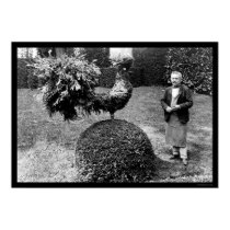 Rooster Shrub at the Villa Trianon 1925 posters by lc_vintagephotos Rooster Shrub at the Villa Trianon 1925 posters