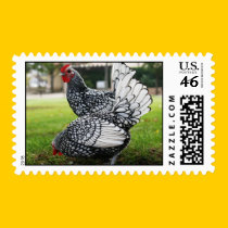 Rooster, Stamp by michaelsnydermusic Rooster, Stamp