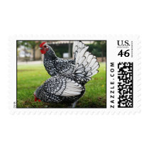 Rooster, Stamp by michaelsnydermusic Rooster, Stamp