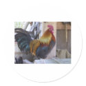 rooster stickers