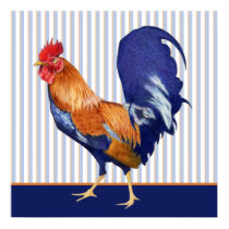 Rooster stripes Poster
