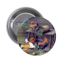 Rooster Turnip Basket Hens Pinback Button