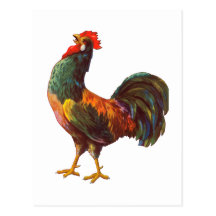 Rooster Vintage Kitchen Crate Art Postcards