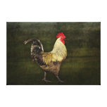 Rooster Wrapped Canvas Stretched Canvas Print
