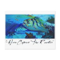Roosterfish, Saltwater Fish art, Caribbean colors postcards by savlen Roosterfish, Saltwater Fish art, Caribbean colors postcards