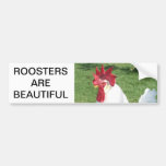 Roosters are Beautiful Bumper Sticker