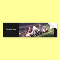 Roosters Rock! bumper stickers