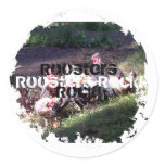 Roosters Rock! Stickers