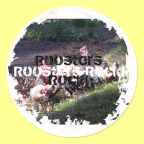 Roosters Rock! stickers