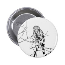 Roosting Hawk - Circular Design Pins