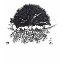 Root of the Tree Stripe t-shirts