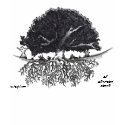 Root of the Tree t-shirts