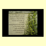Rooted in Faith Poster posters