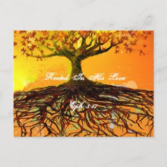 Rooted In His Love postcard