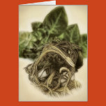 art, fine art, botanical, plants, plant, vine,