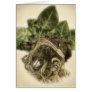 Roots 1 - Fine Botanical Art