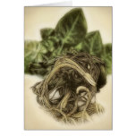 Roots 1 - Fine Botanical Art cards