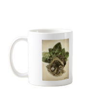 Roots 1 - Fine Botanical Art mugs by LivingNature Roots 1 - Fine Botanical Art mugs