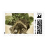 Roots 1 - Fine Botanical Art