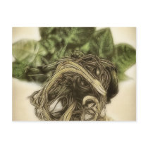 Roots 1 - Fine Botanical Art postcards by LivingNature Roots 1 - Fine Botanical Art postcards
