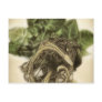 Roots 1 - Fine Botanical Art