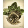 Roots 1 - Fine Botanical Art