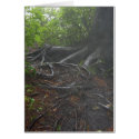 Roots at the Appalachian Trail cards by moonrisings Roots at the Appalachian Trail cards